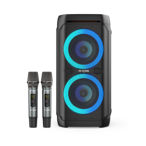 Портативная колонка W-King T11+ черный