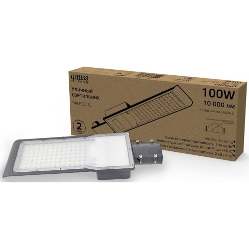 Светильник консольный Gauss 629534300 100Вт ламп.:100шт светодиод.лампа черный