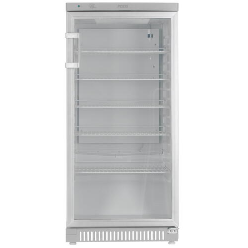 Холодильник Pozis Свияга-513-6 серебристый