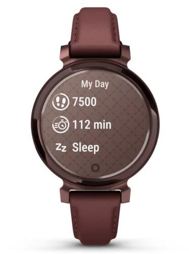 Смарт-часы Garmin Lily 2 Classic