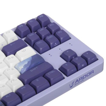 Клавиатура проводная ARDOR GAMING Vision