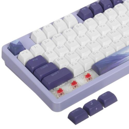 Клавиатура проводная ARDOR GAMING Vision