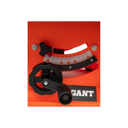 Распиловочный станок Gigant TSJ-254-2050